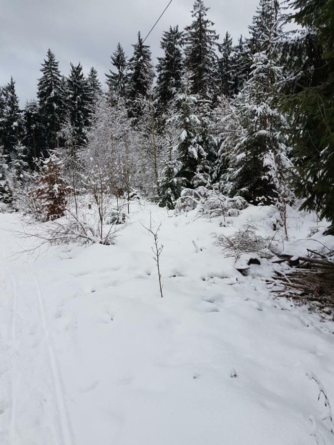 Rosalie - Lake - Hiking&Swimming - Cozy&Nature Winterberg Exterior foto